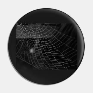 Spiderweb 1 Pin