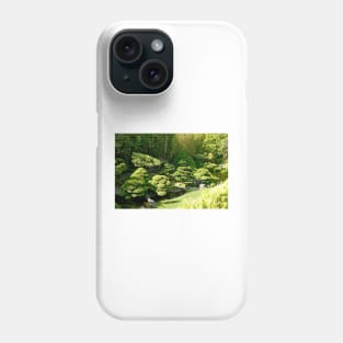 SF Japanese Tea Garden Study 8 Phone Case