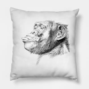 Affe Pillow