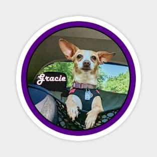 Gracie the Chihuahua Magnet