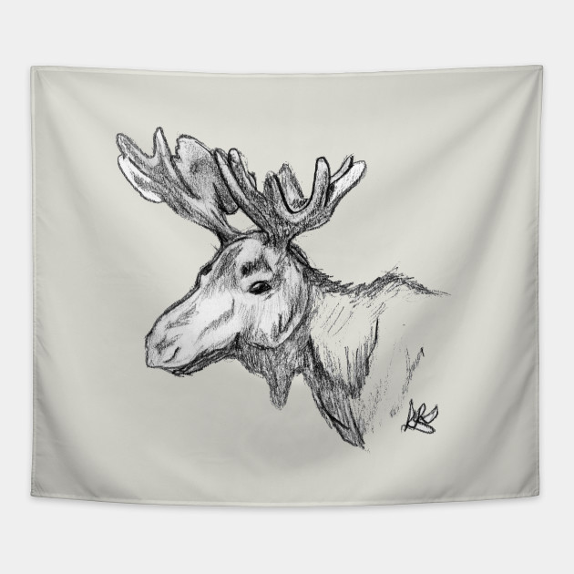 Moose Looking