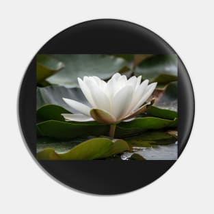 White Water Lily Pin