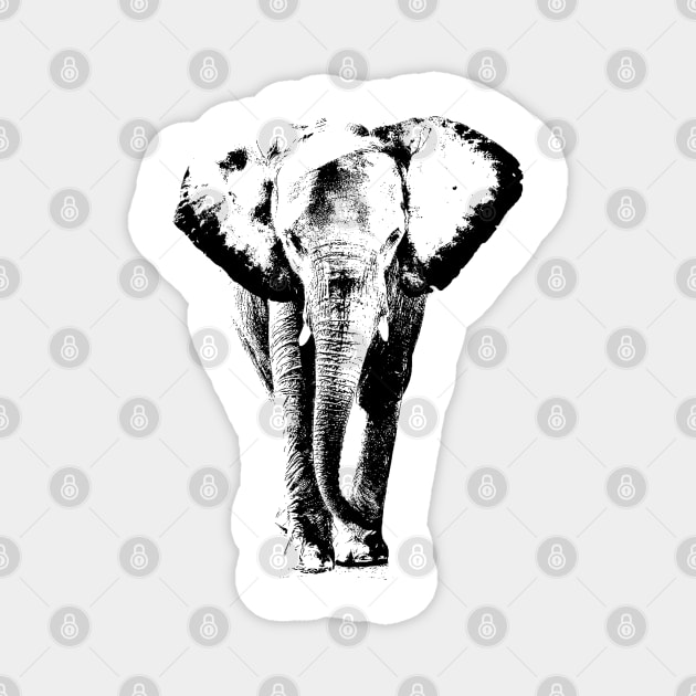 elephant Magnet by hottehue