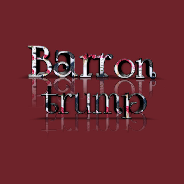 barron trump tshirt by Sport design 