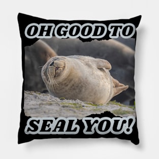 Good to SEAL You Pillow