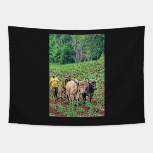 Farmers, Vinales, Cuba Tapestry