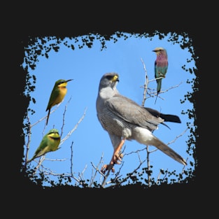Birds in Africa T-Shirt