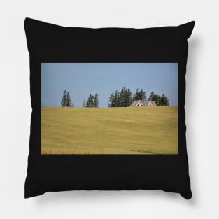 Decaying Farm House sinking in a sea of wheat . Pillow