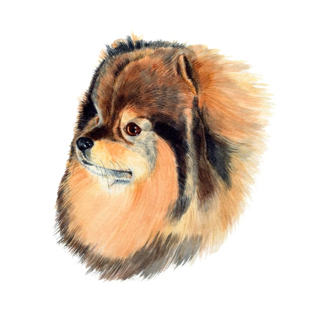 Pomeranian - color by doggyshop