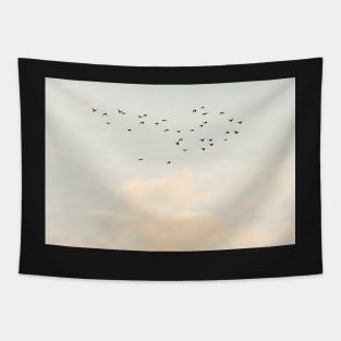 Flock of Birds Tapestry