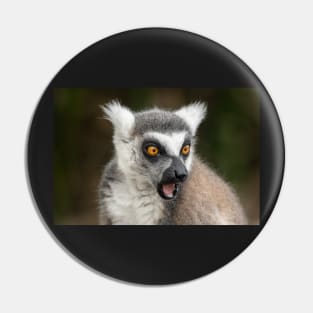 What The?? Ring-Tailed Lemur Pin