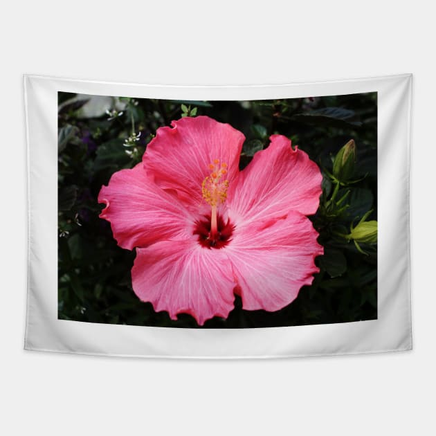 Five Pink Petals Tapestry by Cynthia48