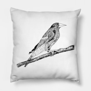 Yellow Rumped Cacique Bird Pillow