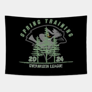 Spring Training 2024 Tapestry