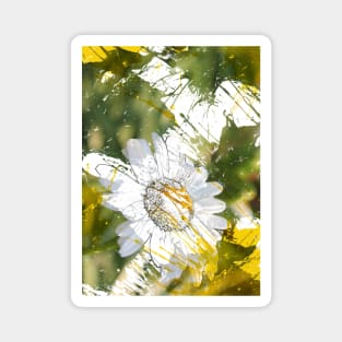 Chamomile Magnet