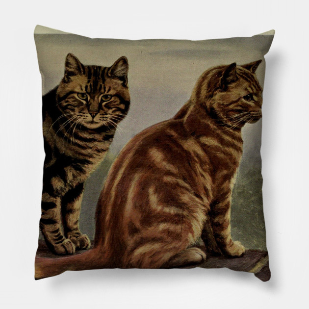 Vintage Short Haired Tabby Cat Painting 1902 Tabby Cat Pillow Teepublic