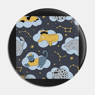 Cats on the clouds Pin