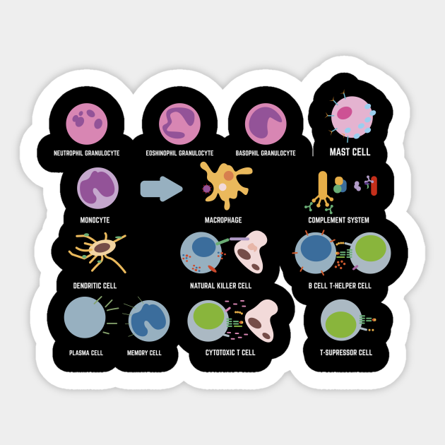 Biology Microbiology Science Cells Genes Biologist - Biology - Sticker