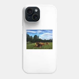 Scottish Highland Cattle Calves 1796 Phone Case