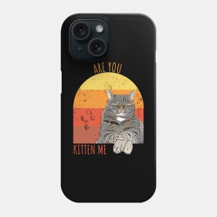 Are You Kitten Me Phone Case