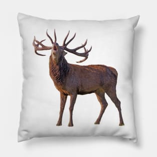 Deer Pillow