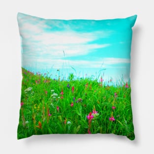 View at different plants in Piani di Ragnolo Pillow