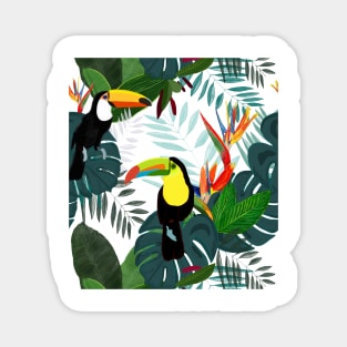 Toucan and bird of paradise flowers Tropical Forest colorful summer Magnet