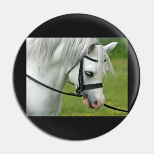 Welsh Mountain Pony Pin