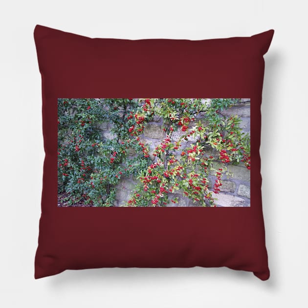 Paris Bois de Boulogne Red Berries Pillow by BlackBeret