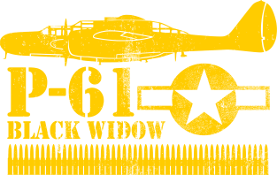 P-61 Black Widow (distressed) Magnet