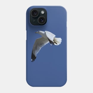 Ring-Billed Gull in Flight Phone Case