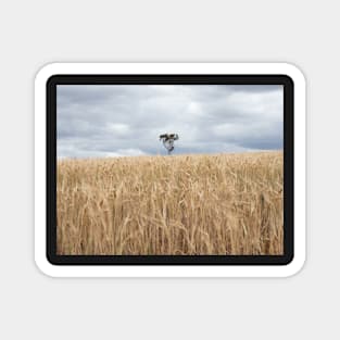 Lone Tree Amongst the Wheat Magnet