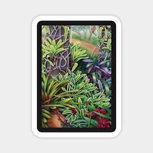 Roma Street Bromeliads Magnet