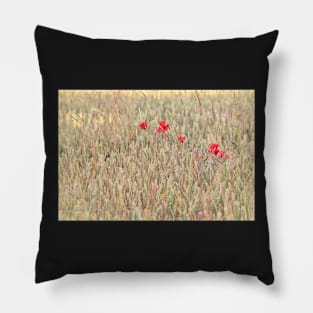 Stand out from the Crowd Pillow