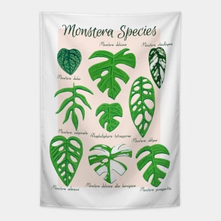 Monstera Species in Gouache- Coral Tapestry