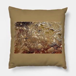 Wall with Bright Stones Pillow