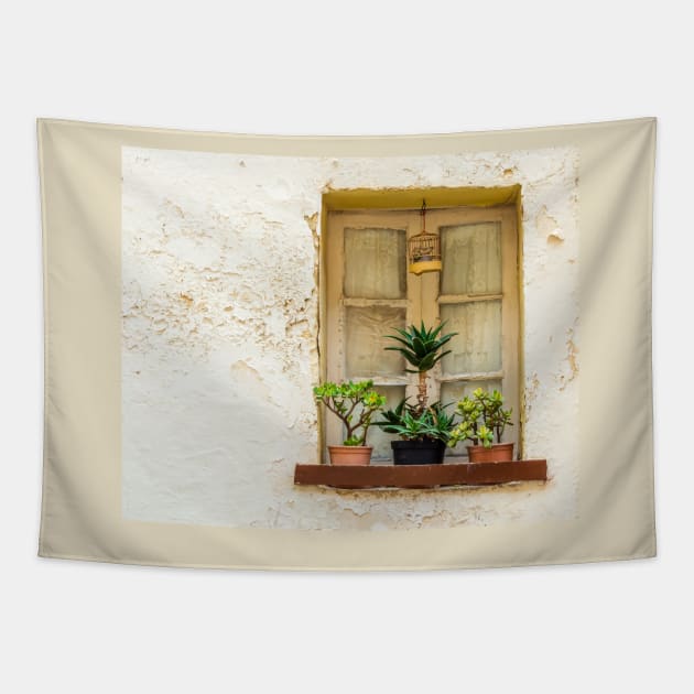 Window with flower garden and bird cage Tapestry by lena-maximova