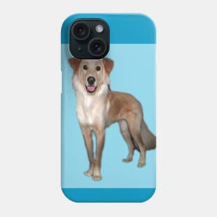 Beautiful smiling Golden Retriever Phone Case