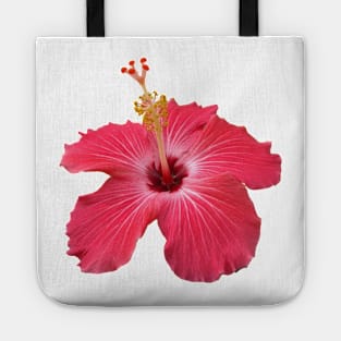 Red Hibiscus  flower Tote