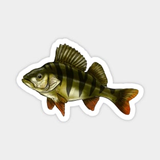 Perch solo Magnet