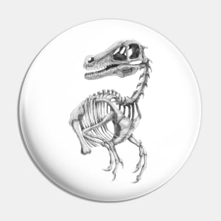 Raptor Skeleton Pin