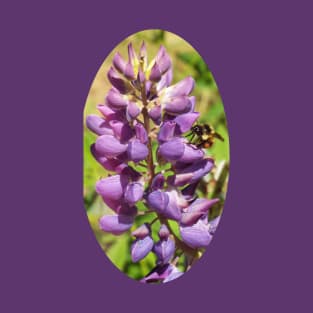 Honey Bee on Purple Lupine T-Shirt