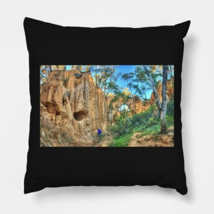 Lady Di Of Golden Gully Pillow