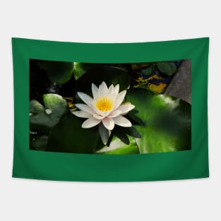 Water lily Tapestry