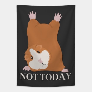 Lazy Hamster Nope not Today funny sarcastic messages sayings and quotes Tapestry