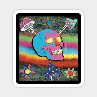 Trippy skull Magnet