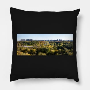 Panorama Pillow