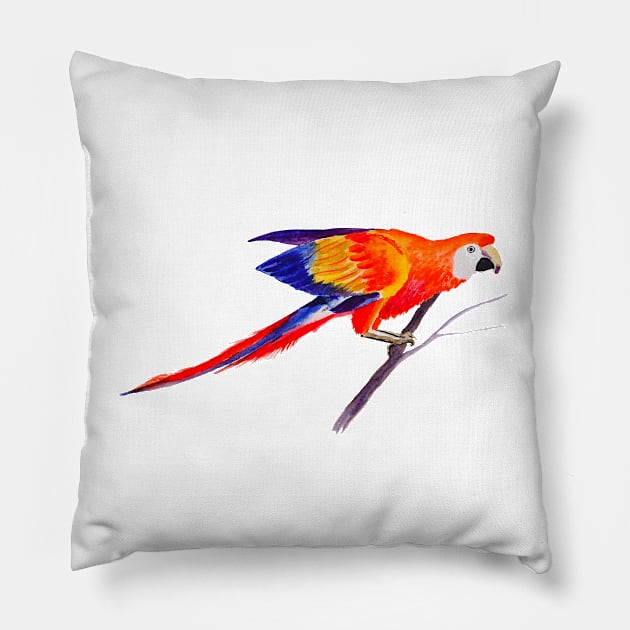 Orange and Blue Parrot Watercolor Painting Pillow by julyperson