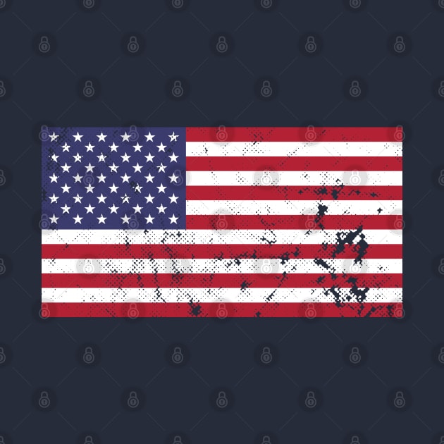 4th July Independence Day USA 2020 by BraaiNinja