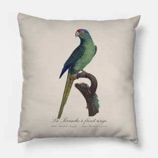 La Perruche a Front Rouge Parakeet - Jacques Barraband 19th century Illustration Pillow